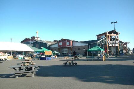 A Weekend at the MOTHER EARTH NEWS FAIR: A Snapshot Tour Image